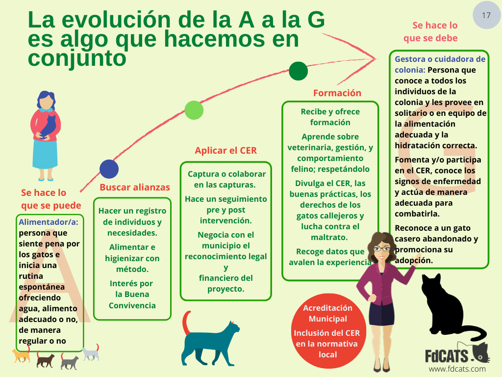 Evolución de la A a la G