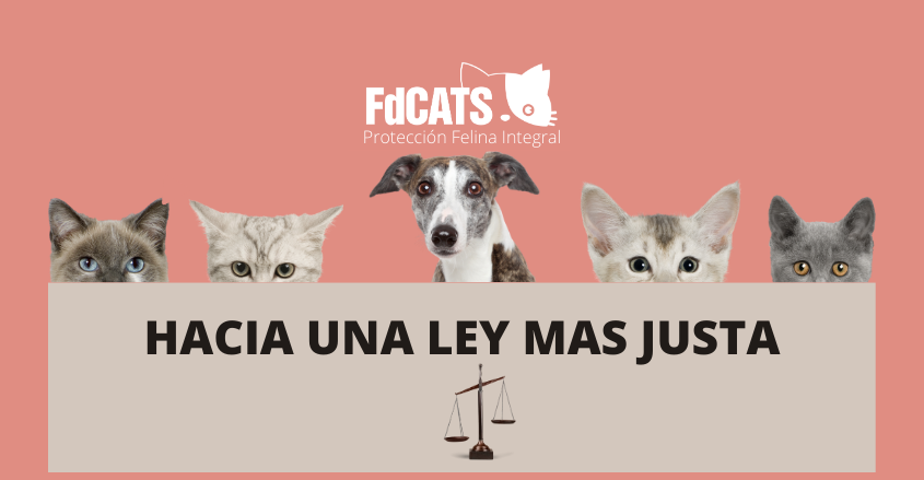 Propuestas a la Ley marco de Bienestar Animal | FdCATS