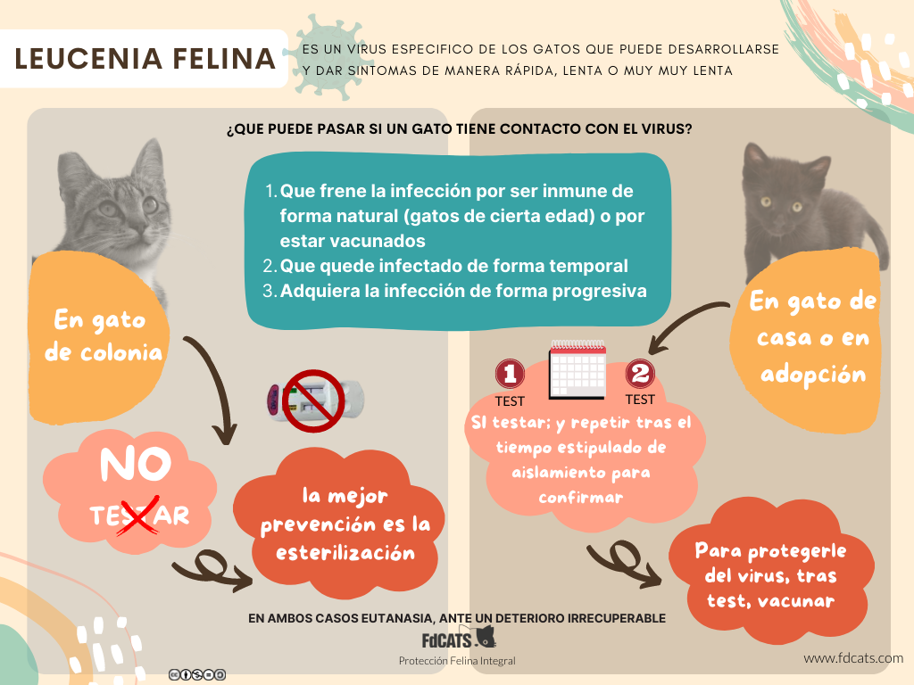 Alguien sabe?, Alguien Sabe donde puedo adquirir jaula trampa para gatos