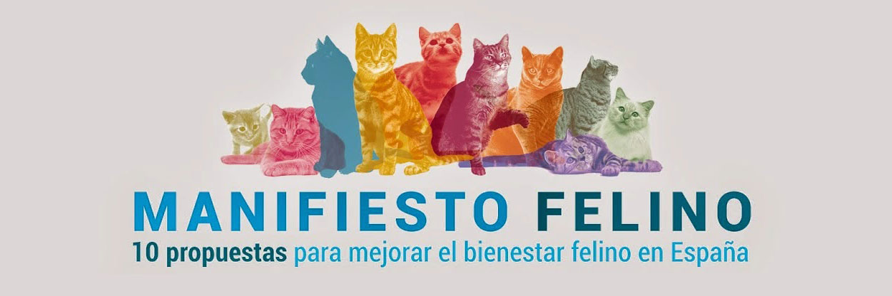 Imagen cabecera Manifiesto Felino